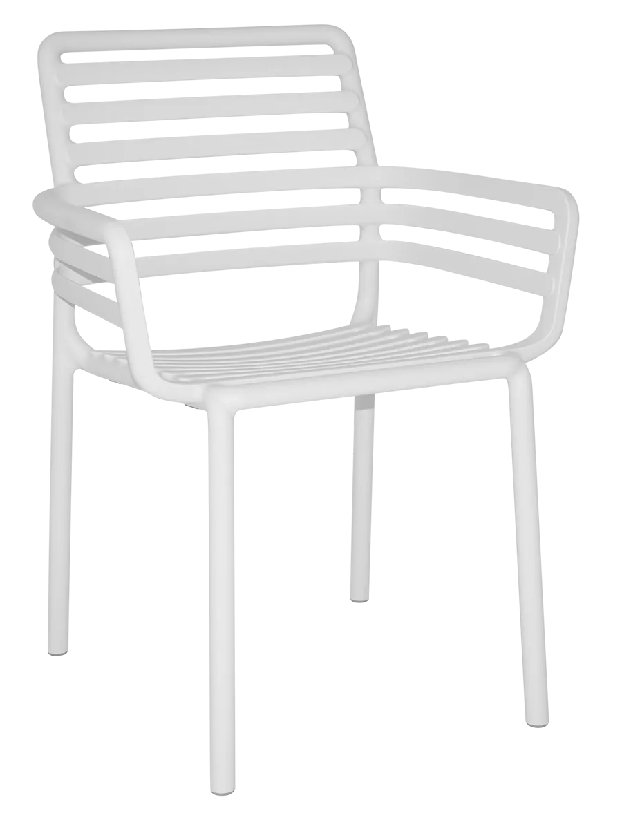 Arm Chair Doga | In Stock