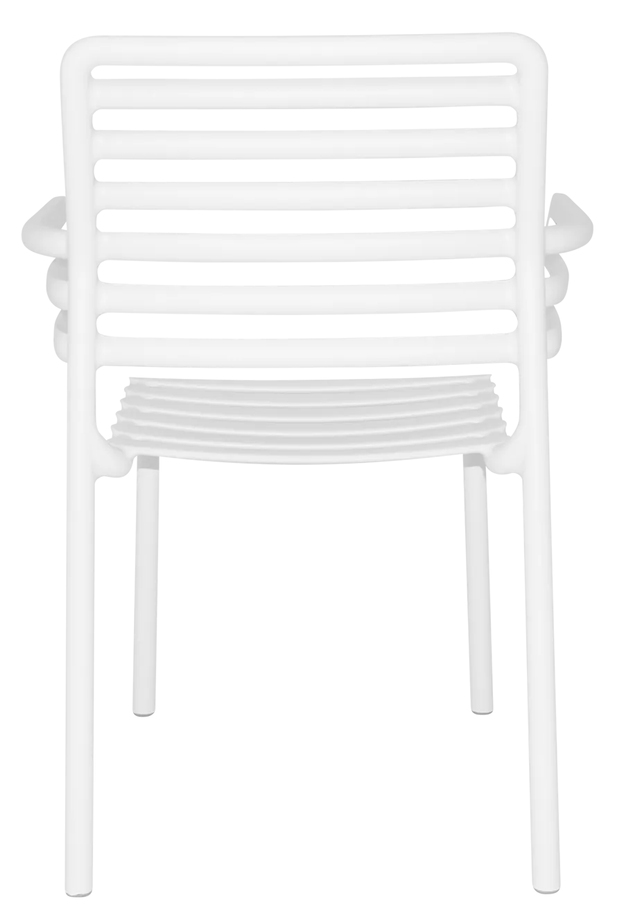 Arm Chair Doga | In Stock