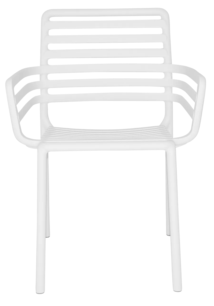 Arm Chair Doga | In Stock