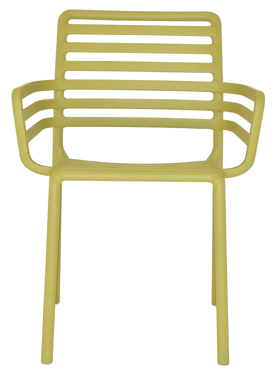 Arm Chair Doga | In Stock