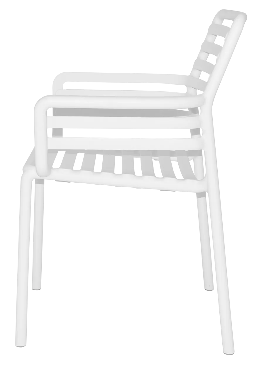Arm Chair Doga | In Stock