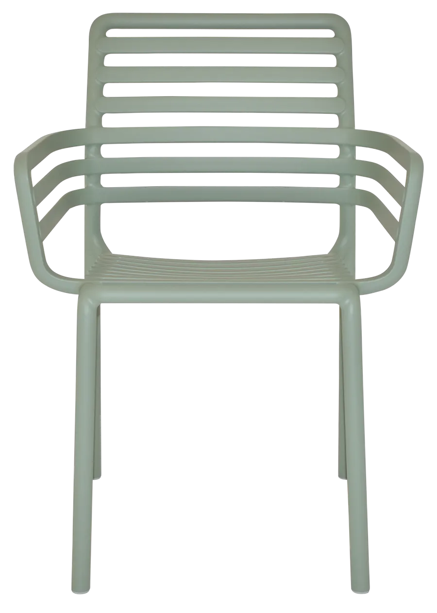 Arm Chair Doga | In Stock