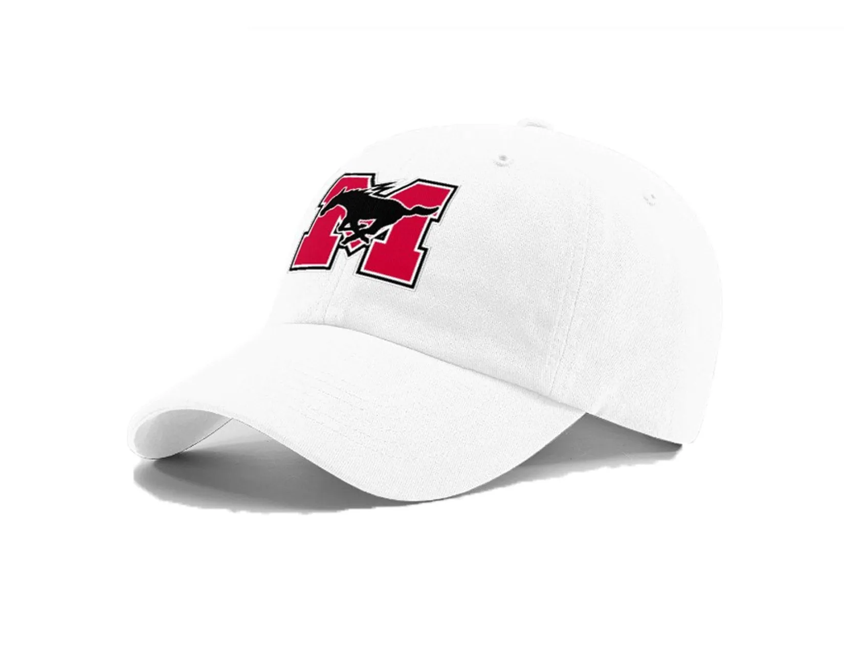 Athletic Boosters Assoc Membership — The Herd Family Pass