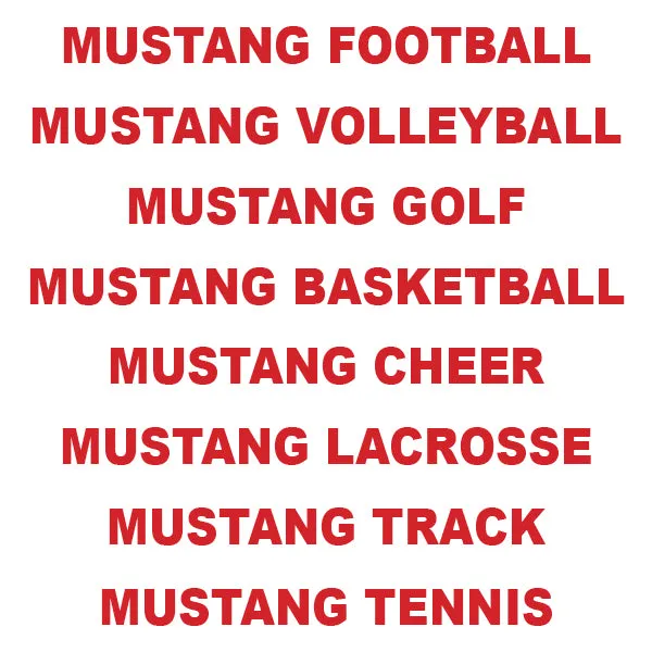 Athletic Boosters Assoc Membership — The Herd Family Pass