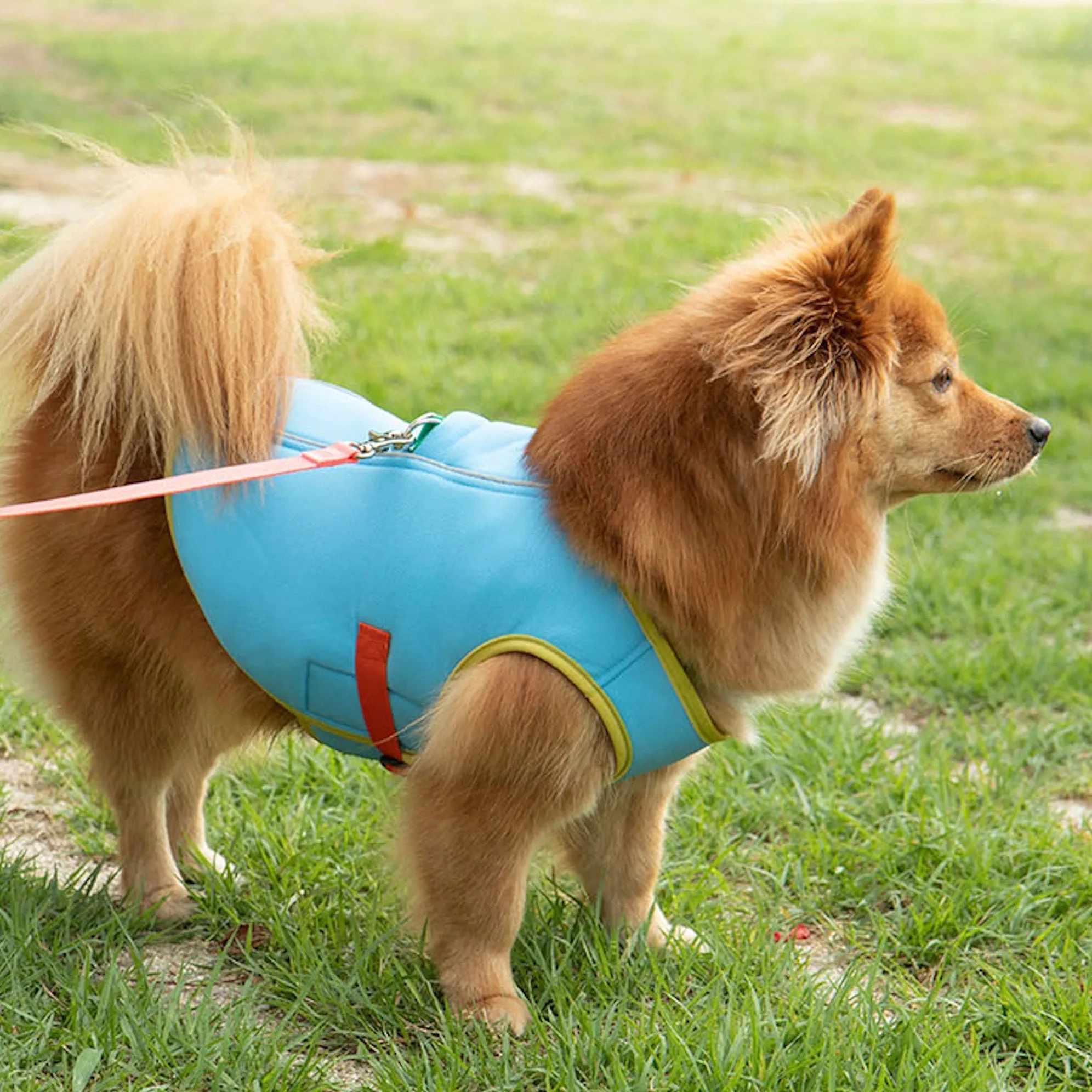 ※予約販売【BITE ME】Ice Cooling Vest（Skyblue）