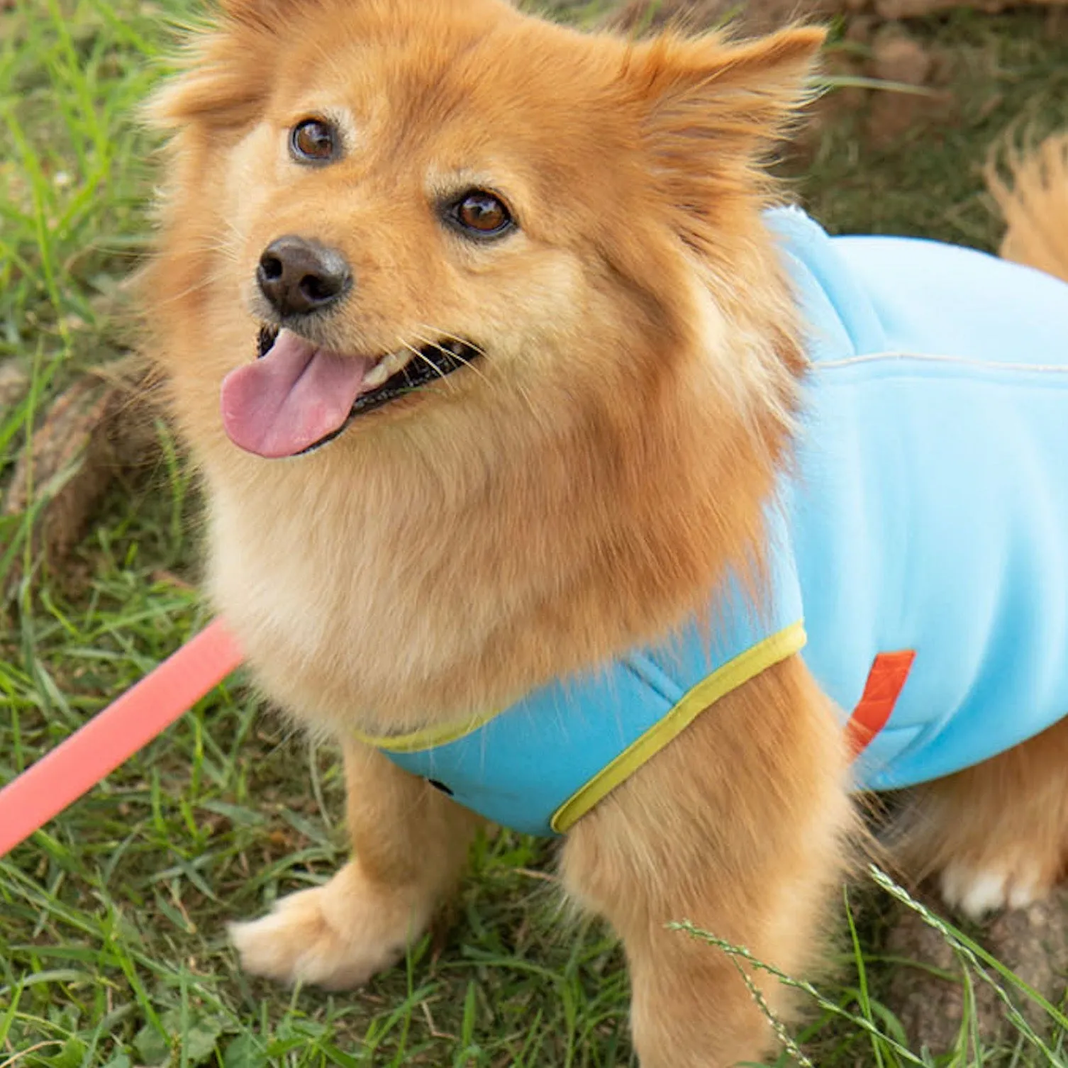 ※予約販売【BITE ME】Ice Cooling Vest（Skyblue）