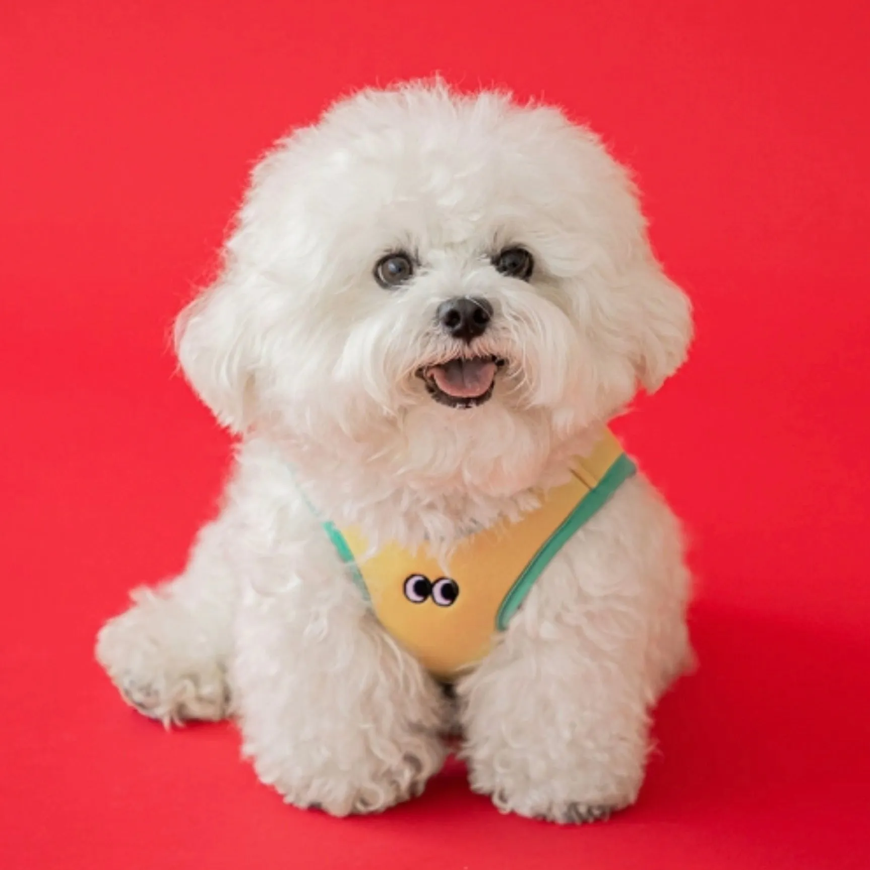※予約販売【BITE ME】Ice Cooling Vest（Yellow）