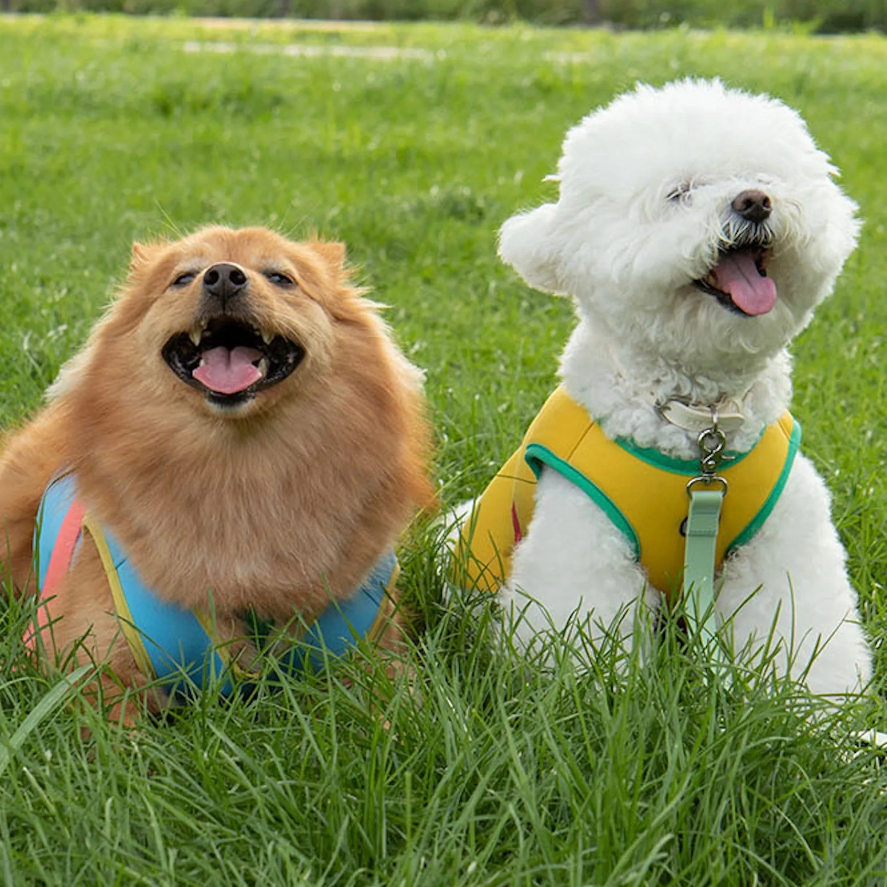 ※予約販売【BITE ME】Ice Cooling Vest（Yellow）