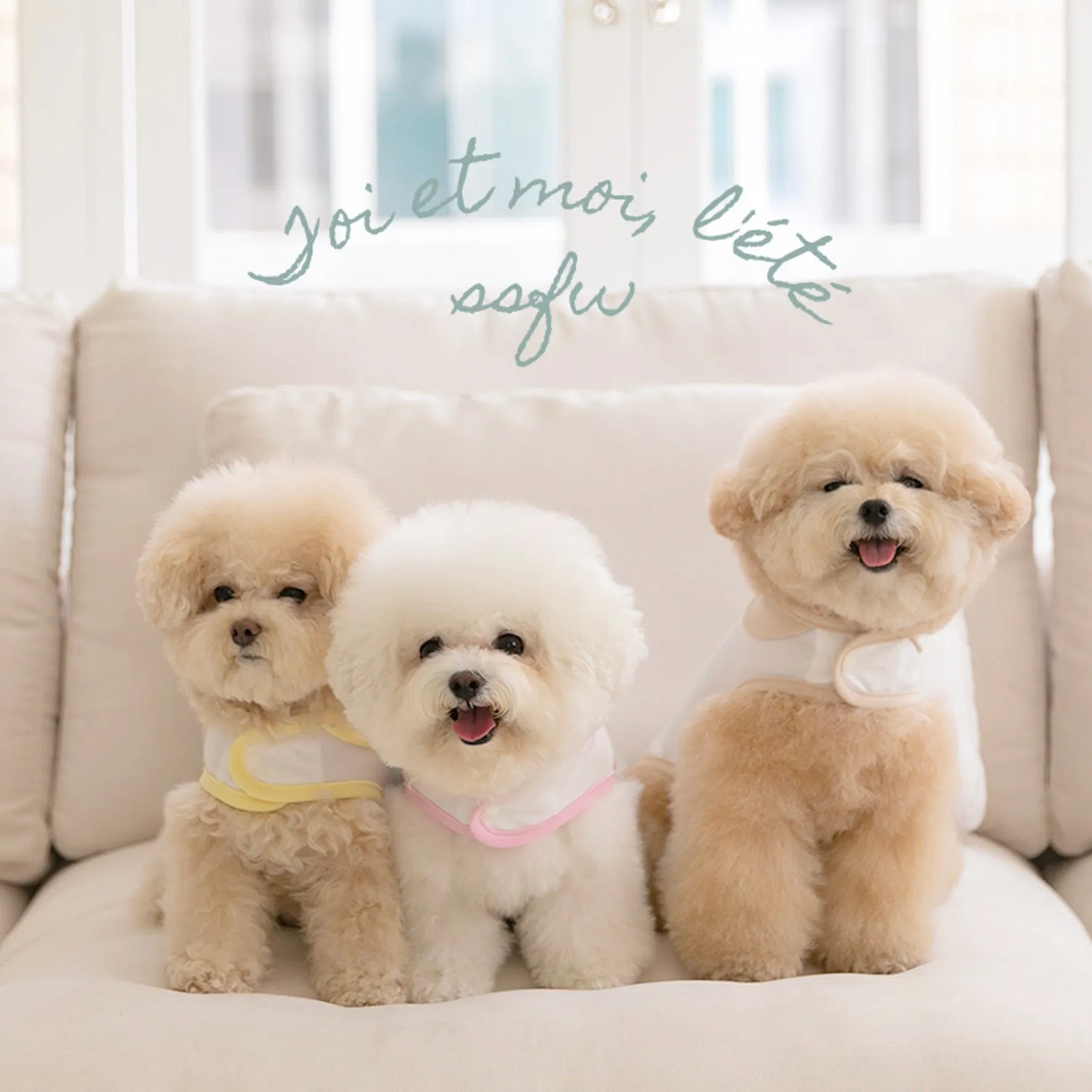 ※予約販売【ssfw】My Little Cooling Poncho（Apple）