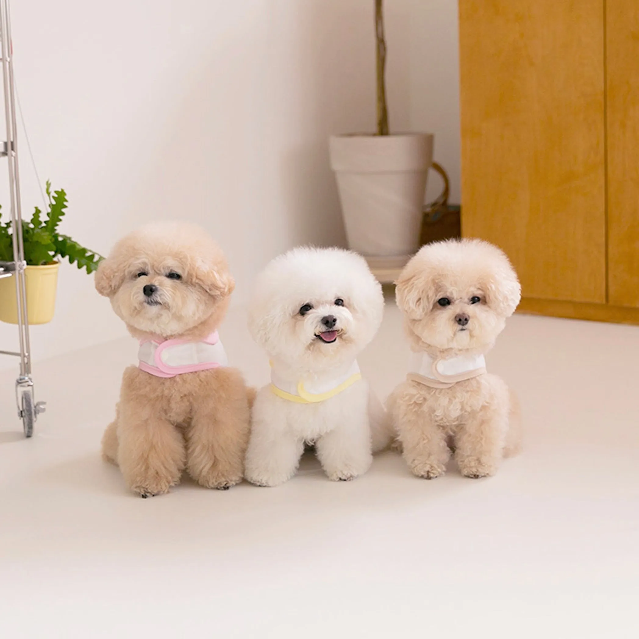 ※予約販売【ssfw】My Little Cooling Poncho（Ice Cream）