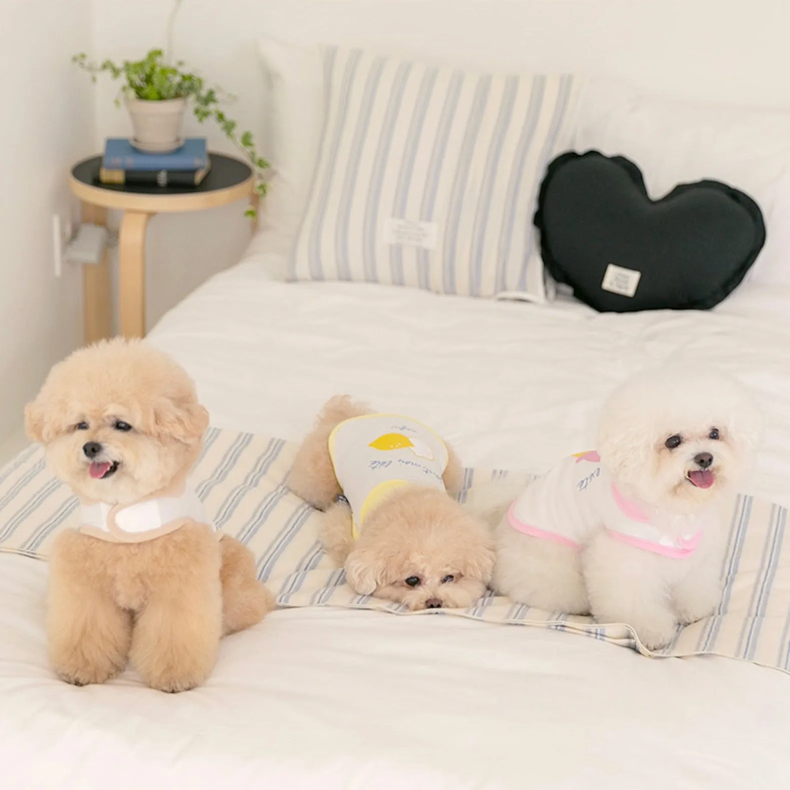 ※予約販売【ssfw】My Little Cooling Poncho（Ice Cream）