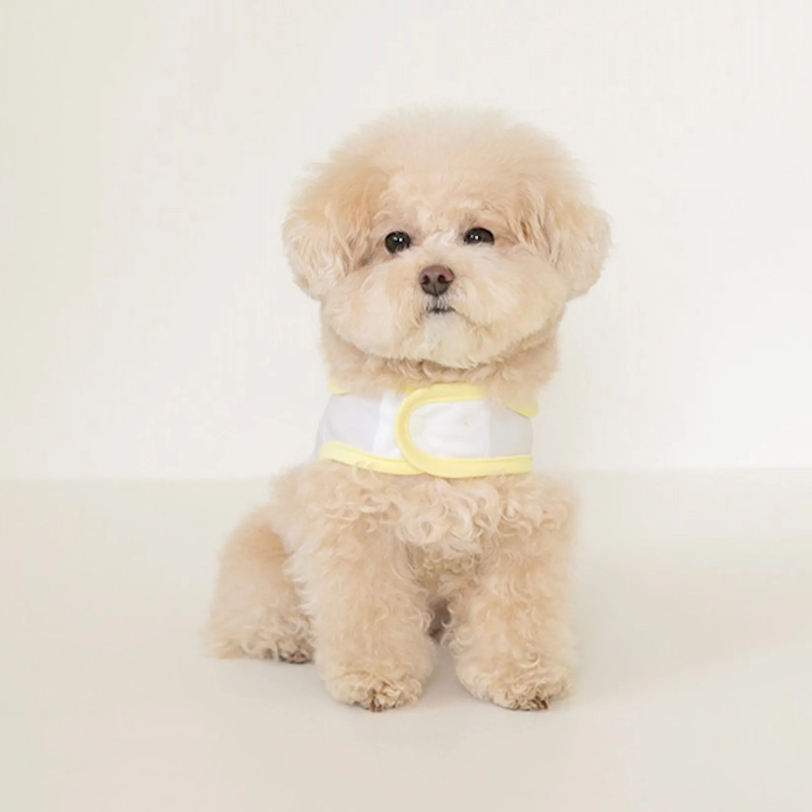 ※予約販売【ssfw】My Little Cooling Poncho（Lemon）