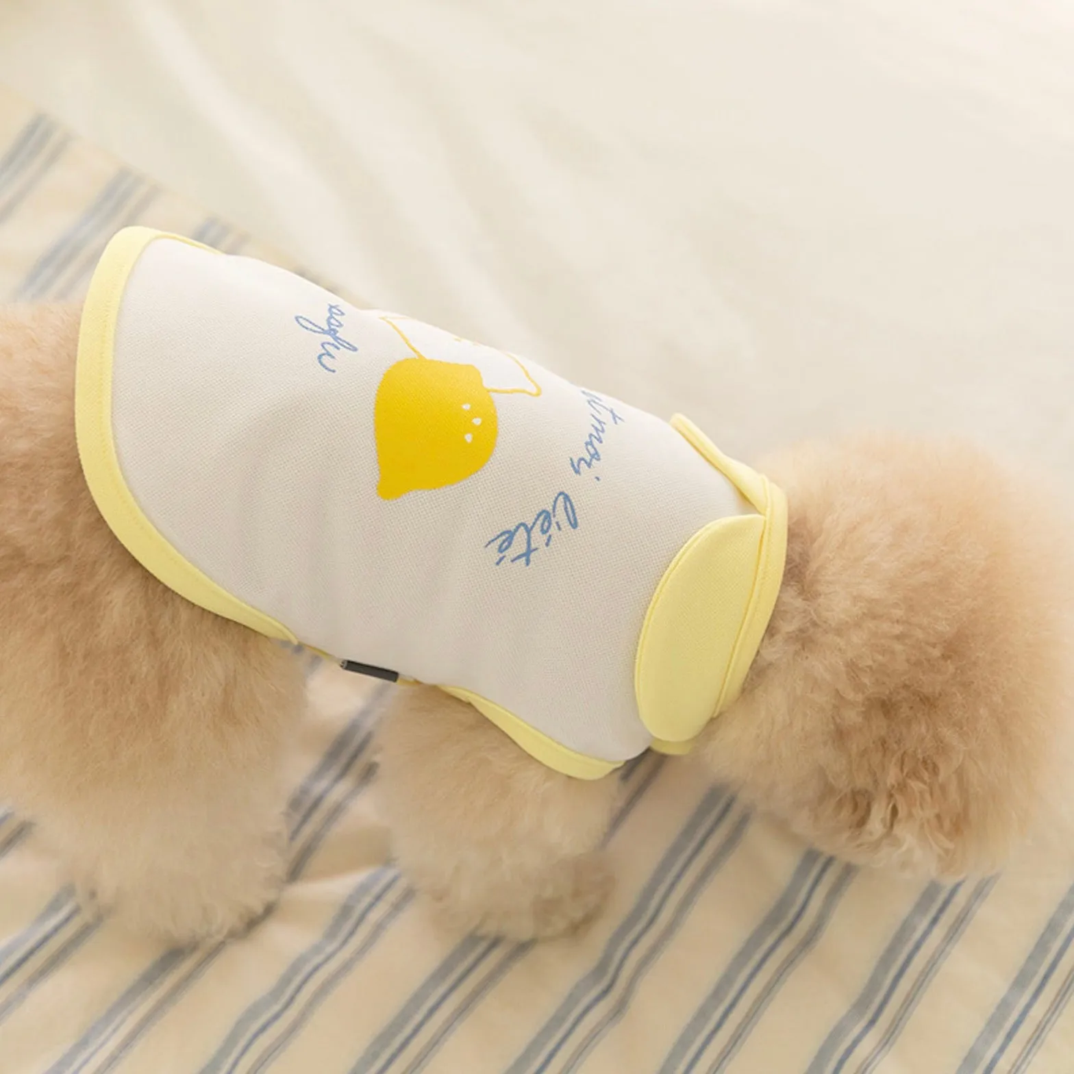 ※予約販売【ssfw】My Little Cooling Poncho（Lemon）