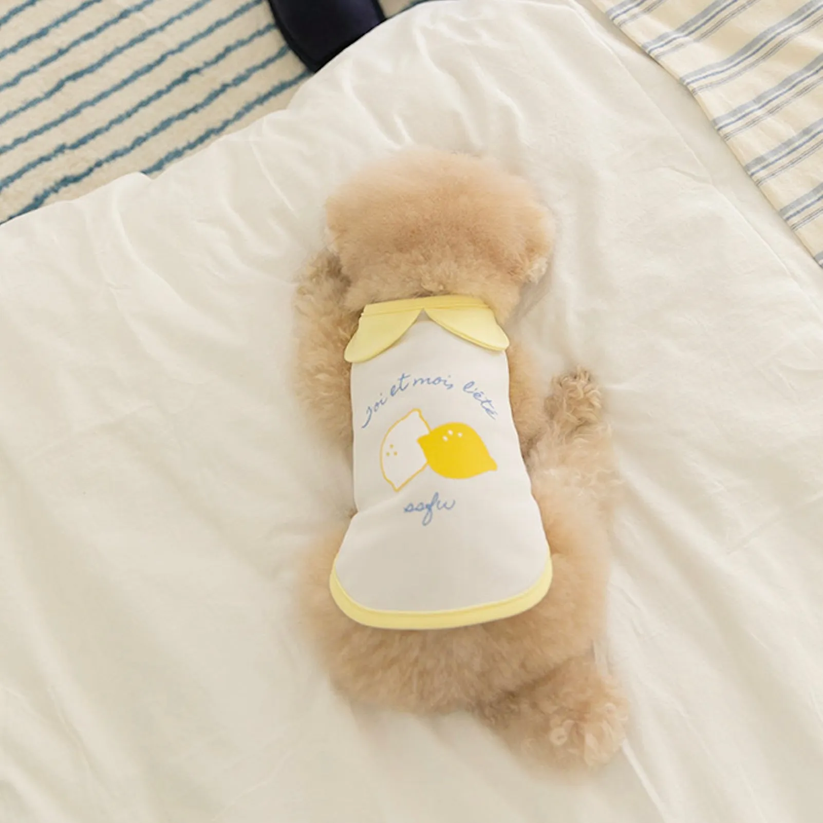 ※予約販売【ssfw】My Little Cooling Poncho（Lemon）