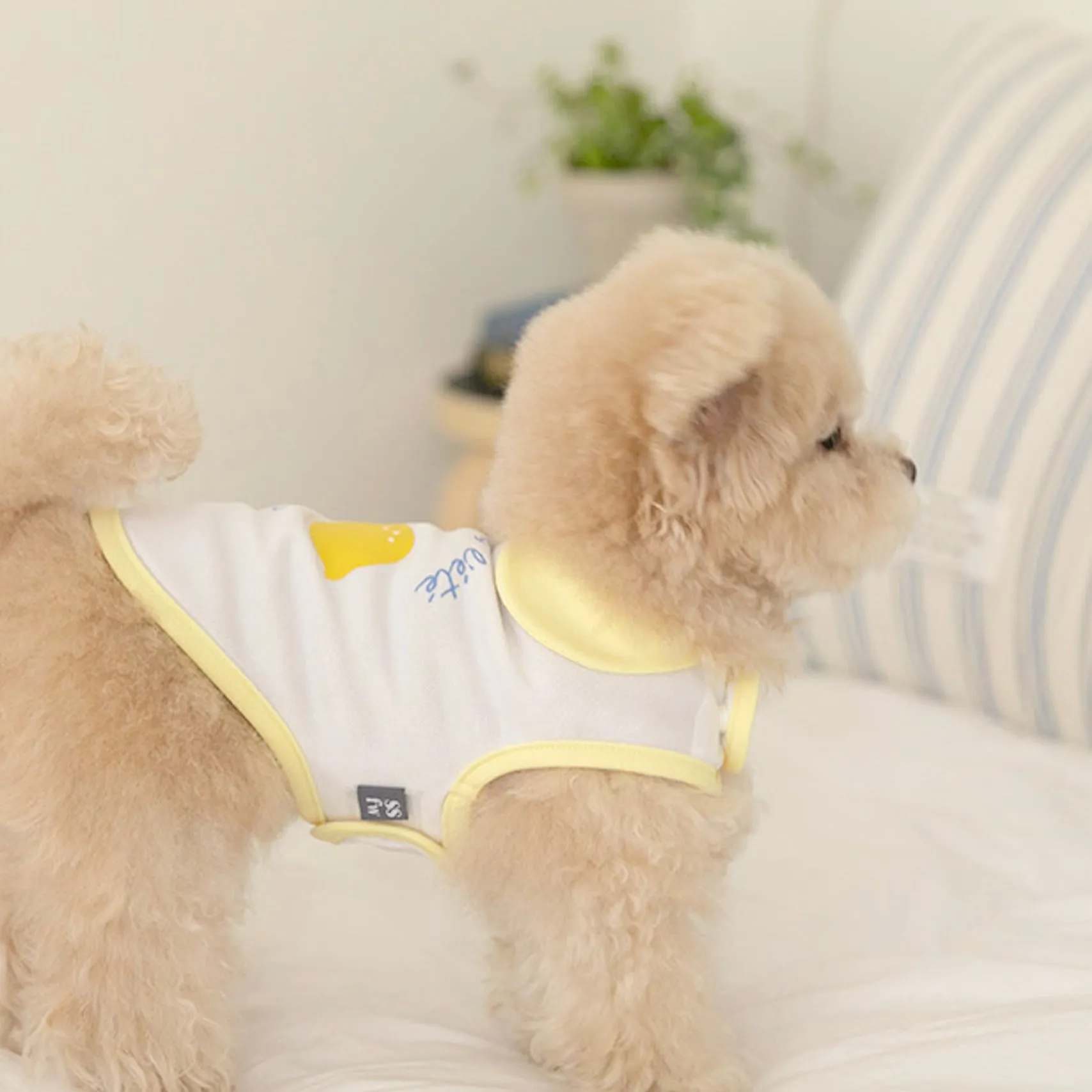 ※予約販売【ssfw】My Little Cooling Poncho（Lemon）