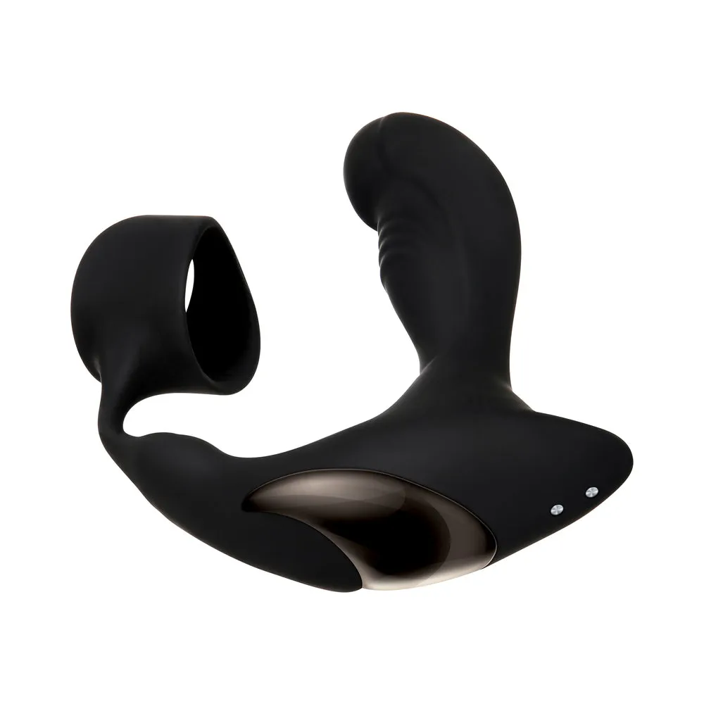 Zero Tolerance Strapped & Tapped Heating, Vibrating Prostate Massager, C-Ring Black